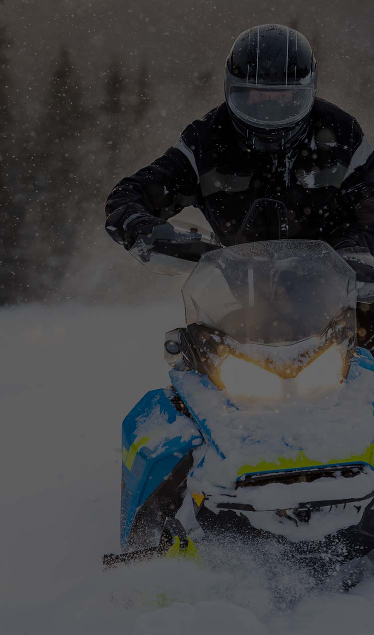 Someone snowmobiling across an open plain with pine forest in the background