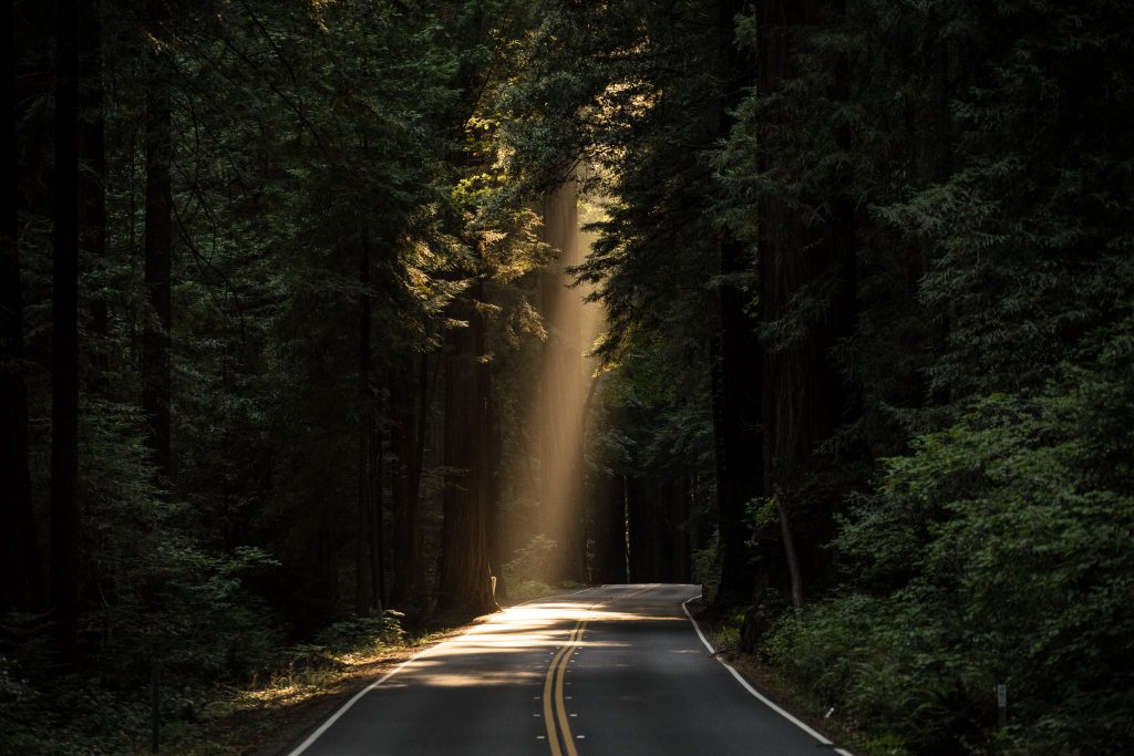 A wooded road with the sun peaking through up ahead.