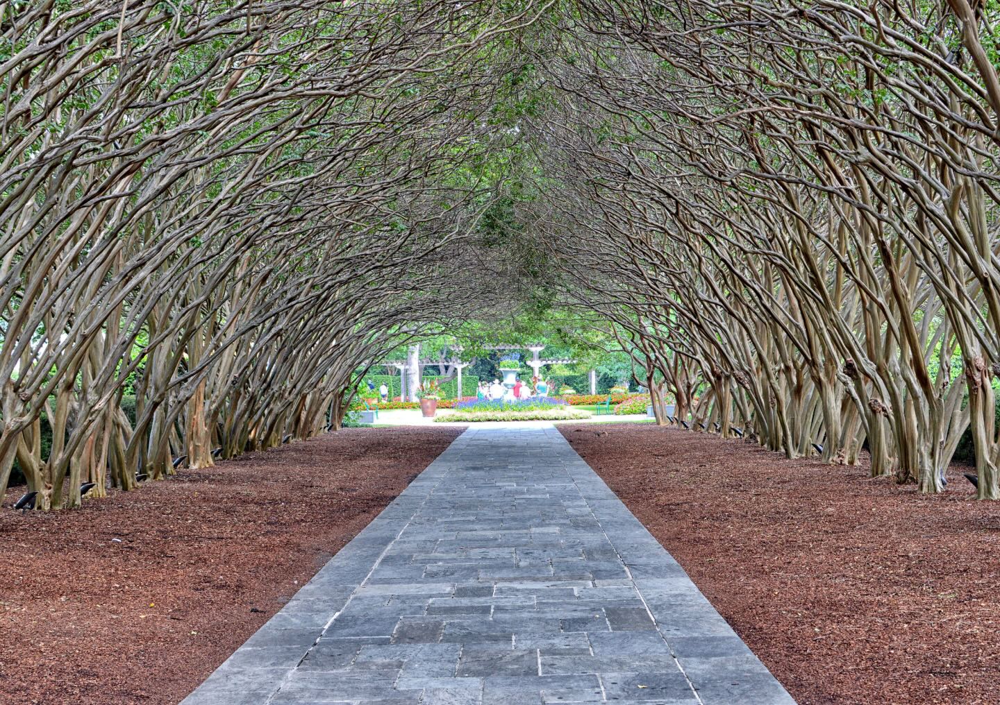 Walking along the path at the Dallas Arboretum.