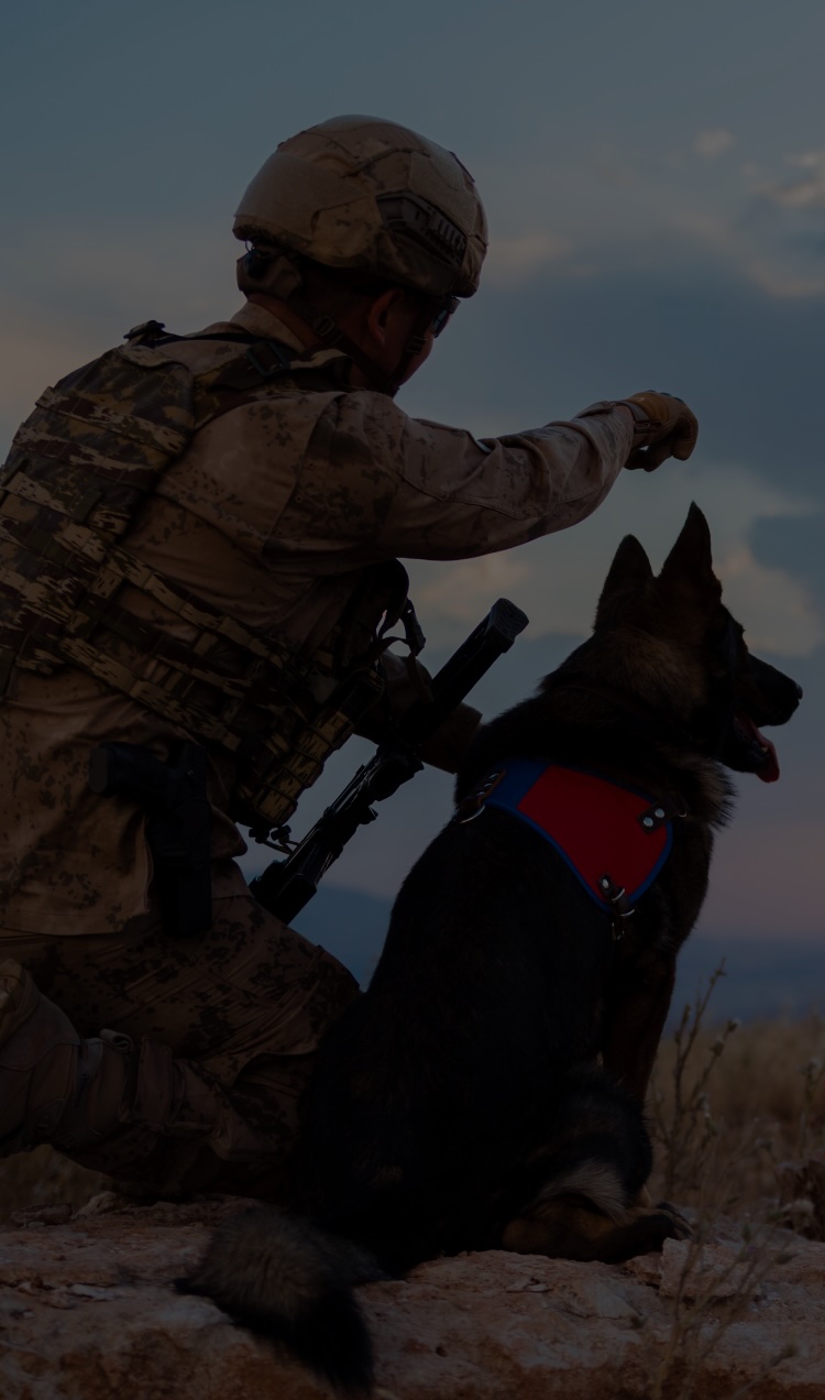 An active duty military service member scans the horizon with a trained service dog.